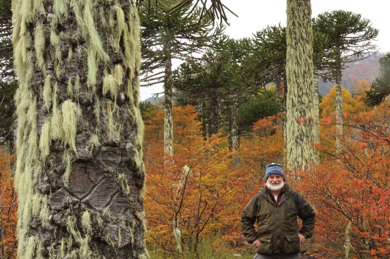 Alan Watson Featherstone in his Halcon Jacket amongst araucaria trees